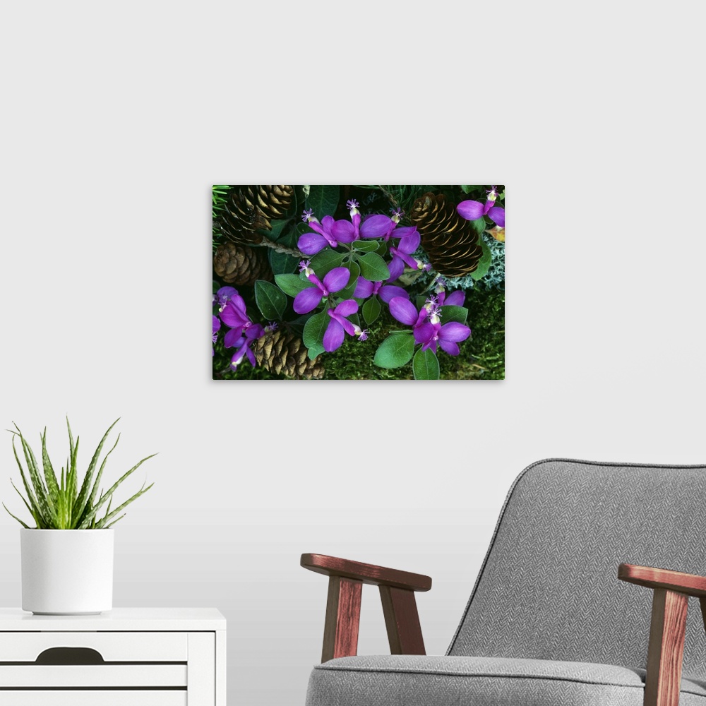 A modern room featuring Big image print of the up close view of flower blooms with pine cones sitting nearby that had fal...
