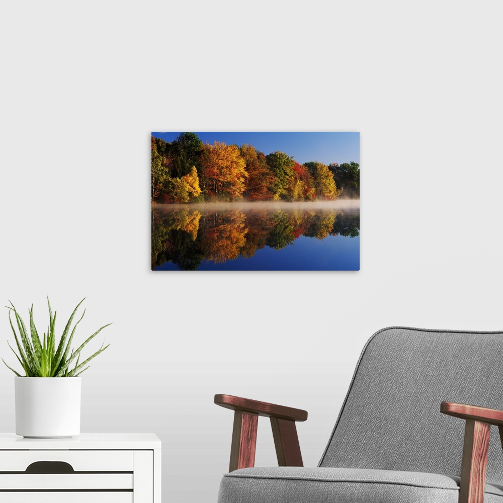 A modern room featuring Large photograph displays a Fall colored tree line reflecting perfectly over a calm body of water...