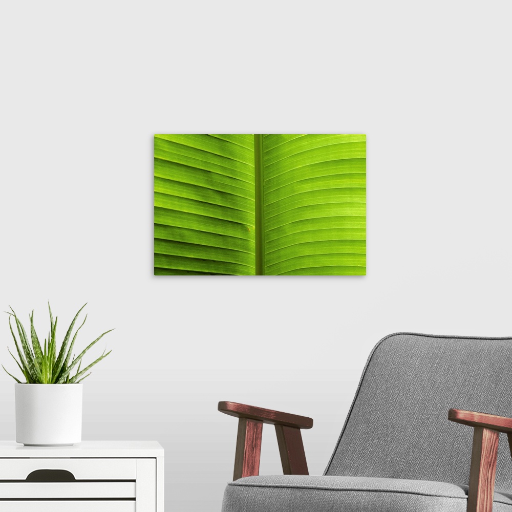 A modern room featuring Leaf in Detail