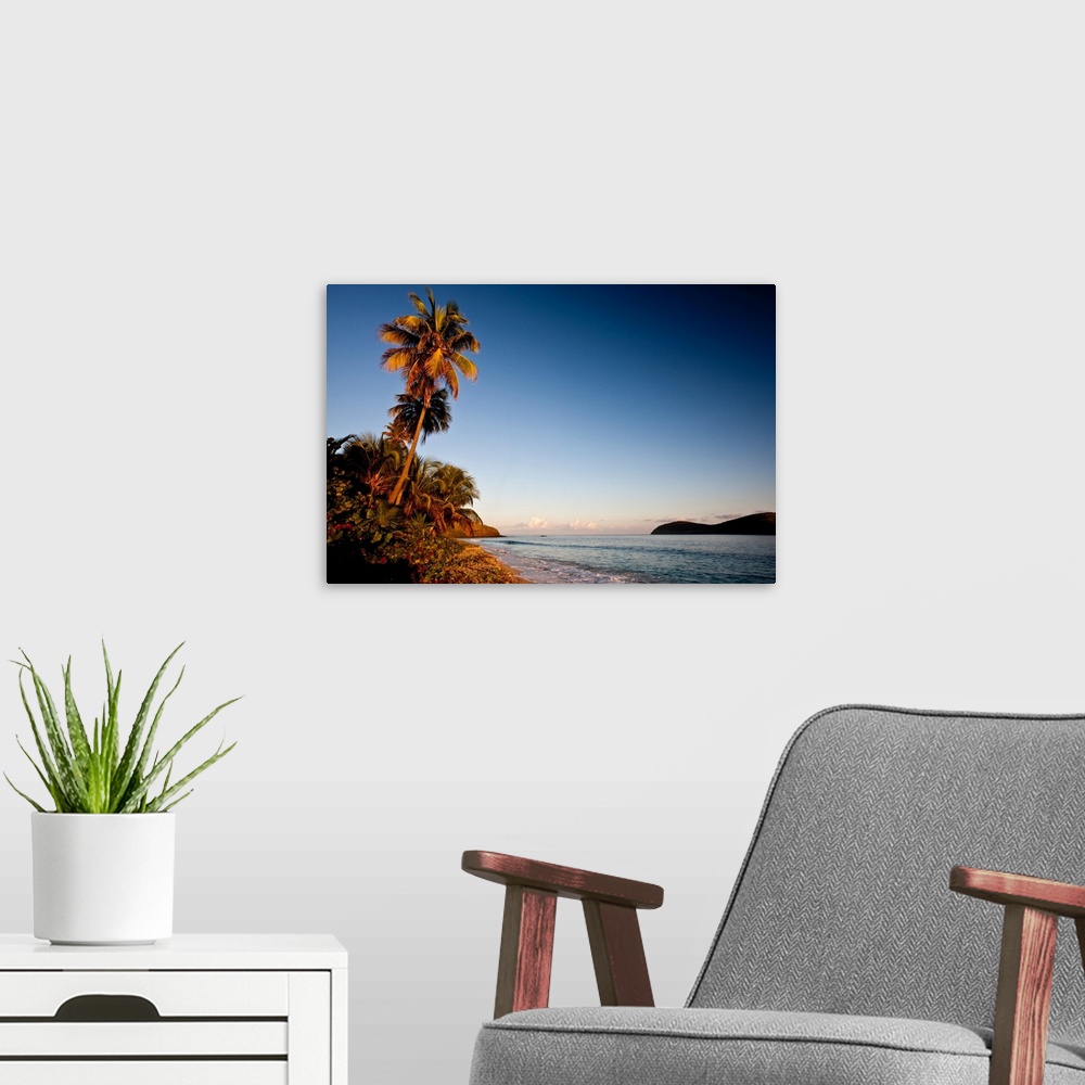 A modern room featuring Palm tree on beach at sunset, Culebra Island, Puerto Rico