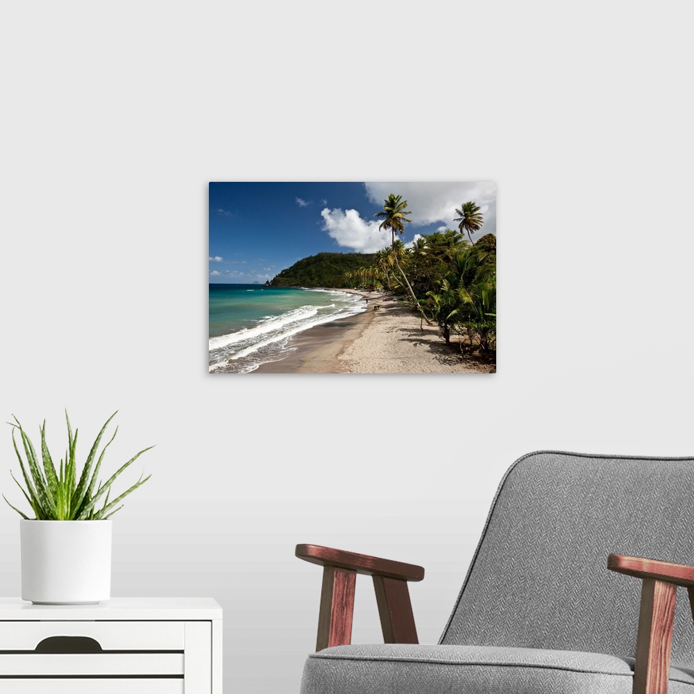 A modern room featuring Palm trees along the beach, Grenada, Caribbean