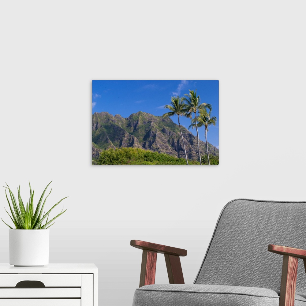 A modern room featuring Palm trees with mountain range in the background, Tahiti, French Polynesia