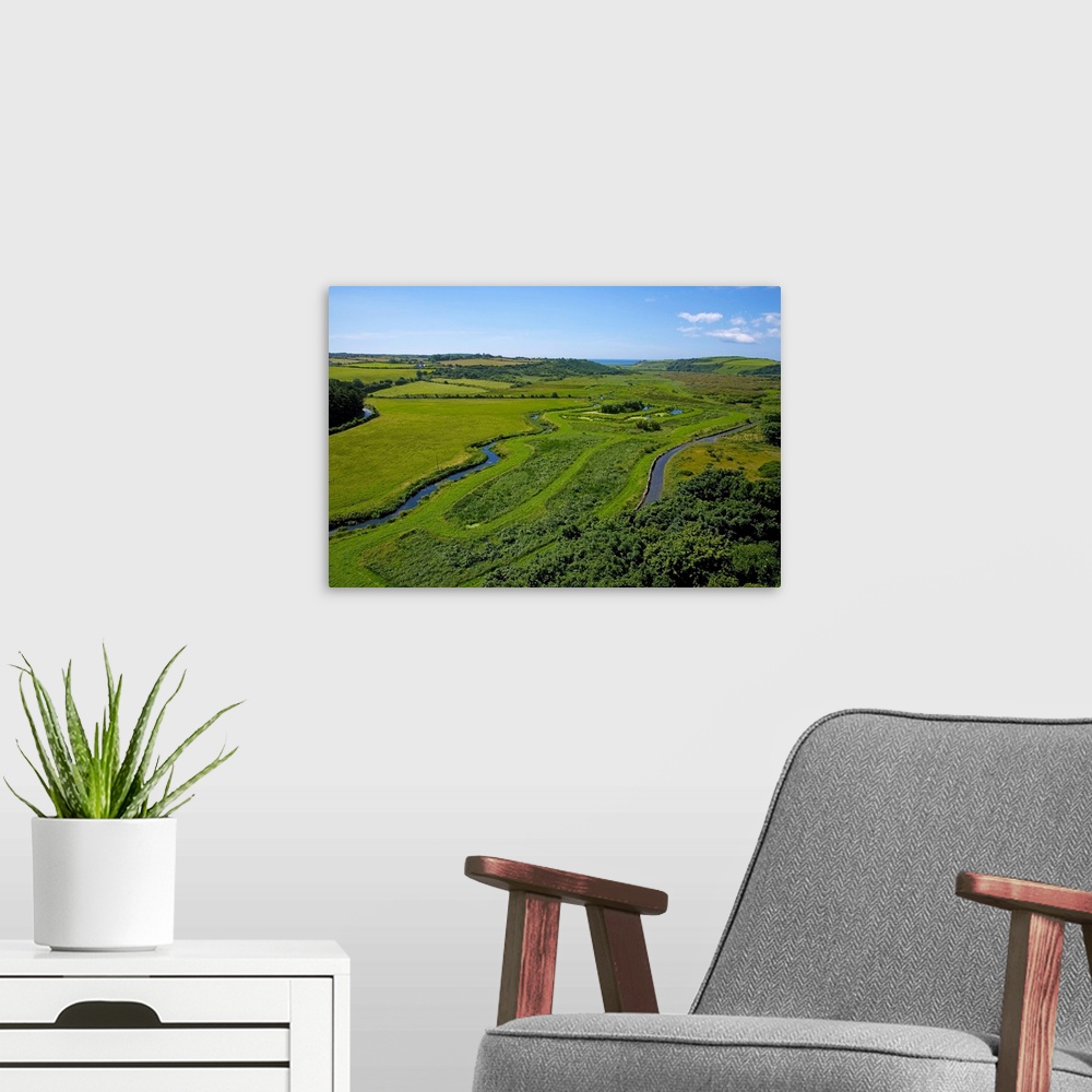 A modern room featuring Reed Beds, Near Annestown, The Copper Coast, County Waterford, Ireland