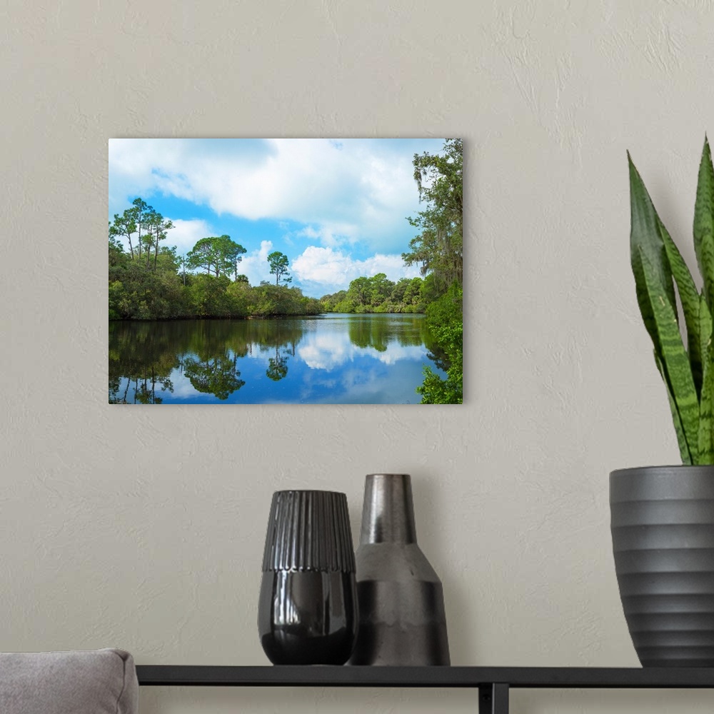 A modern room featuring Reflection of trees and clouds in South Creek, Oscar Scherer State Park, Nokomis, Sarasota County...