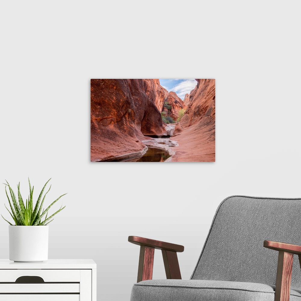 A modern room featuring Rock formations at Water Canyon Trail, Water Canyon, St. George, Utah, USA