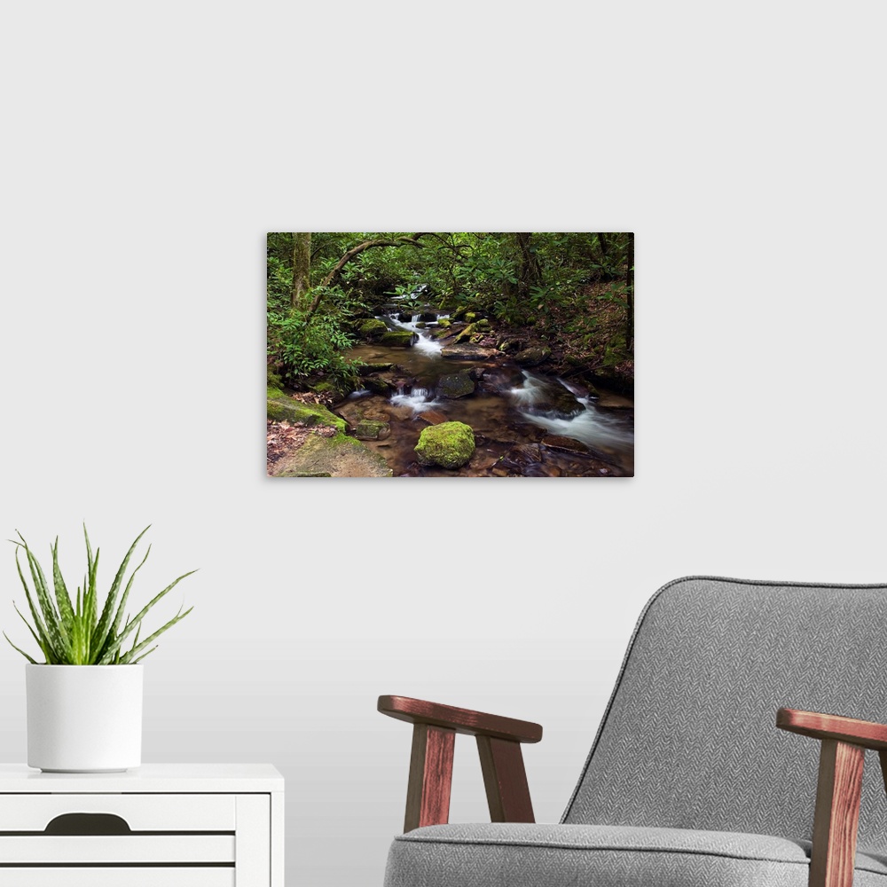 A modern room featuring Panoramic photograph of rocky creek running through forest with moss covered rocks.