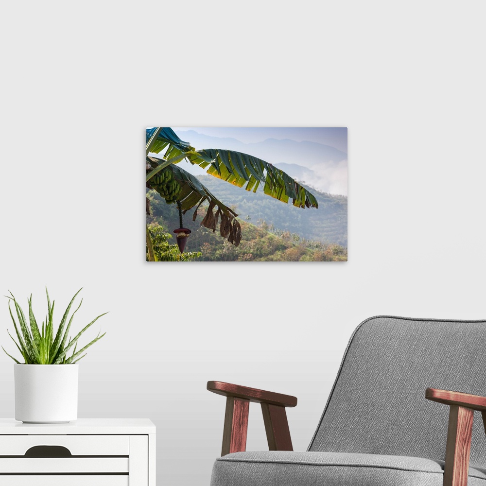 A modern room featuring Scenic view of fog over mountains, sinho district, vietnam.