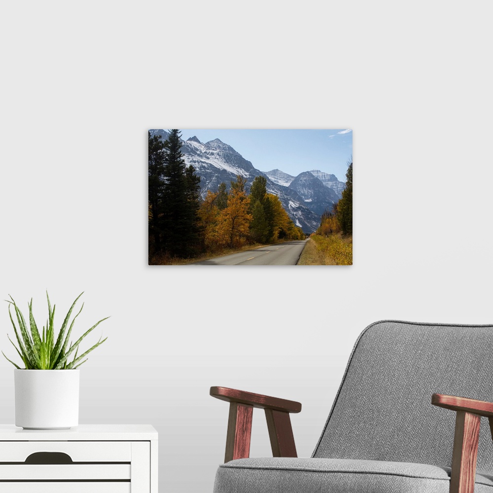 A modern room featuring Trees along a road with mountain range in the background, Glacier National Park, Montana, USA