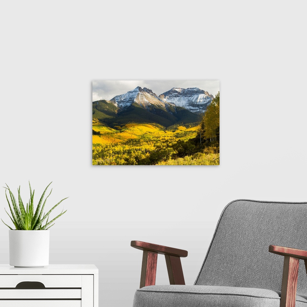 A modern room featuring Trees with mountain range in the background, Aspen, Pitkin County, Colorado, USA