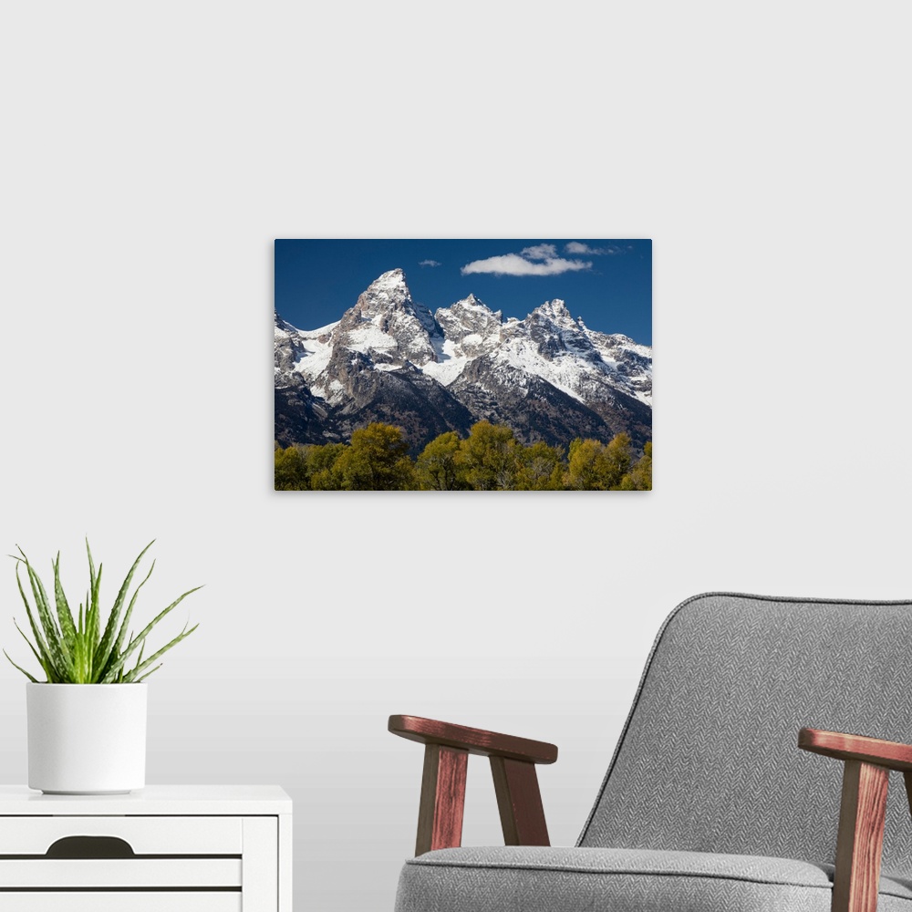A modern room featuring Trees with mountain range in the background, Teton Range, Grand Teton National Park, Wyoming, USA