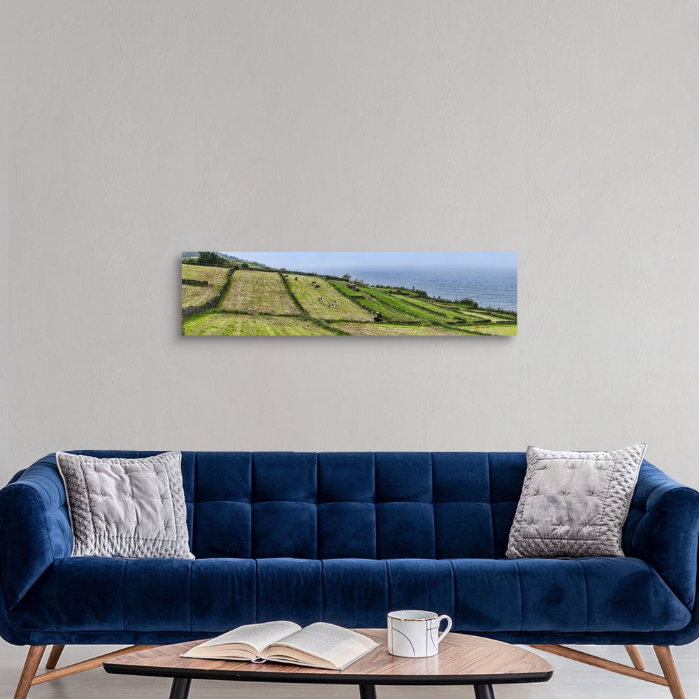 A modern room featuring View of farmland along coast, Terceira Island, Azores, Portugal