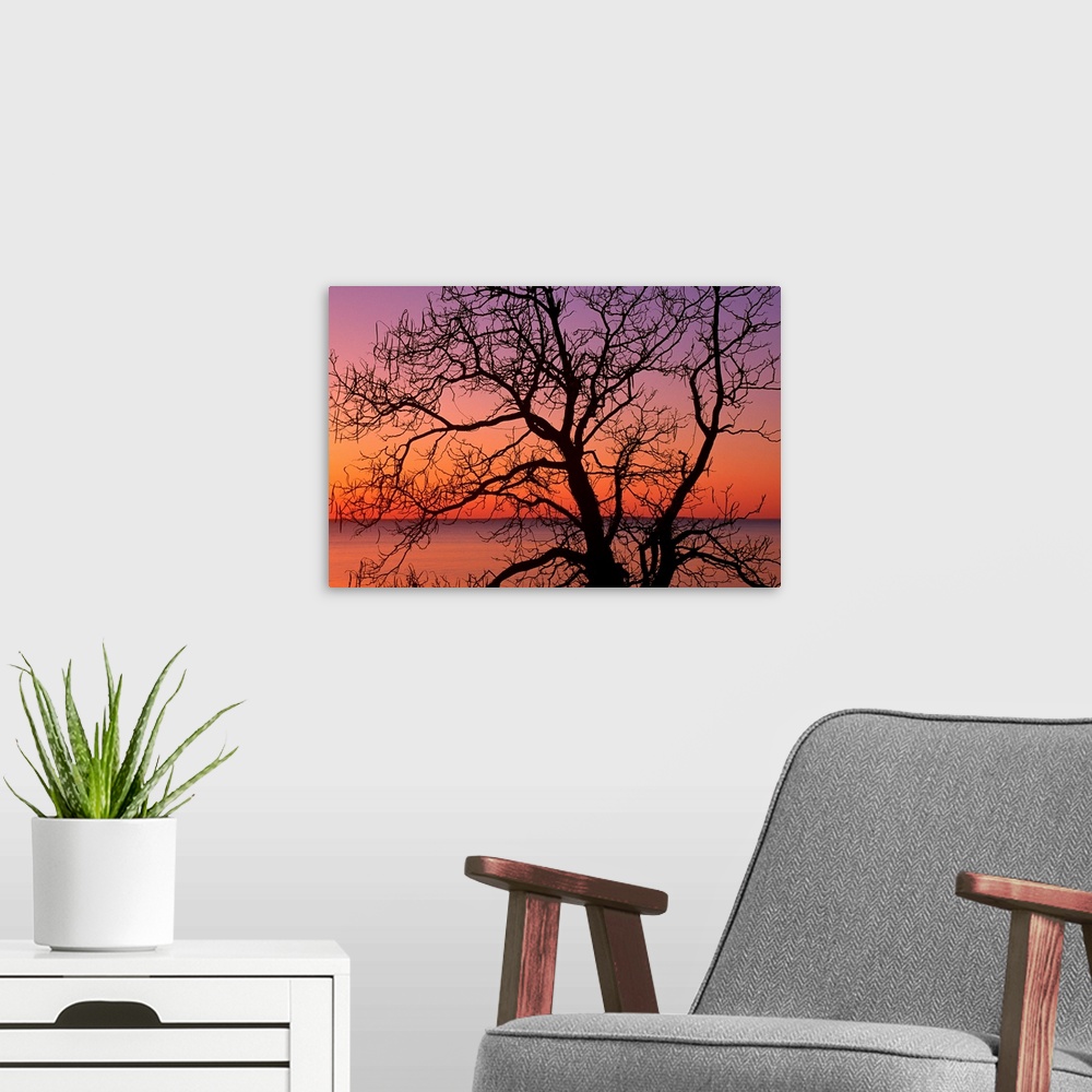 A modern room featuring Giant photograph shows a silhouetted bare tree in the foreground against an ocean enjoying the co...