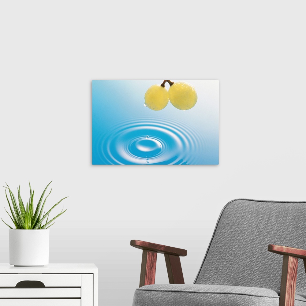 A modern room featuring Water droplets on two fresh grapes, ripples in blue water