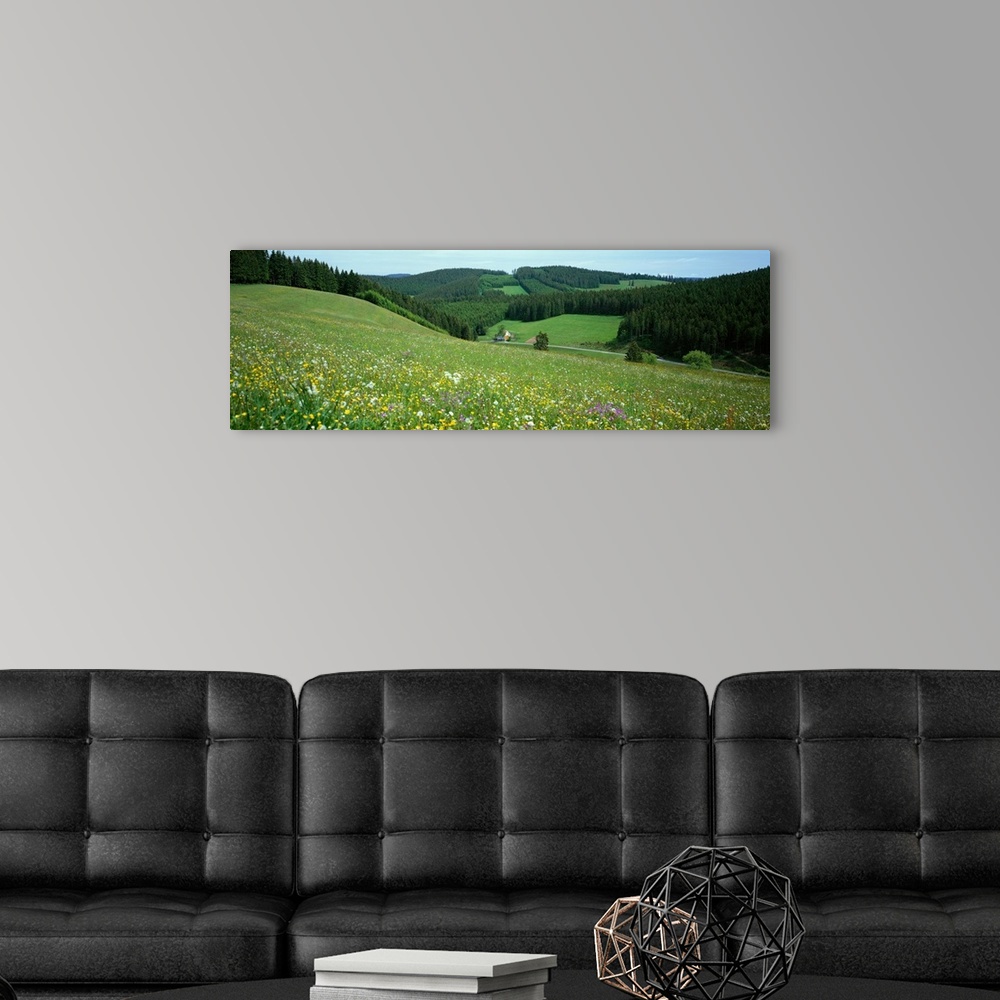 Wildflowers Black Forest Germany Wall Art, Canvas Prints, Framed Prints ...