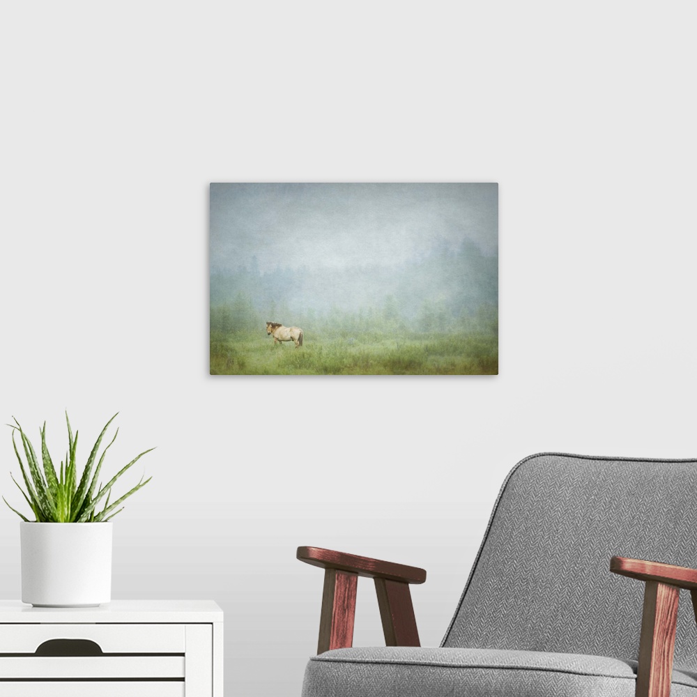 A modern room featuring Photograph of a lone horse standing in a field with an overall hazy look to it.