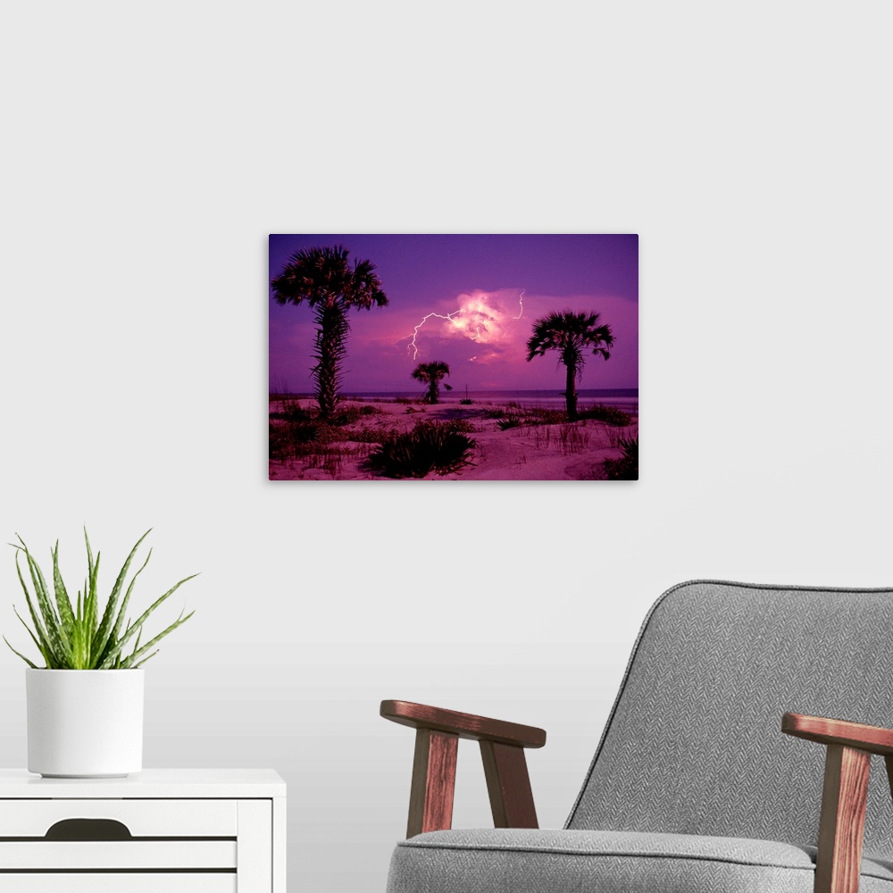 A modern room featuring Lightning illuminates the purple sky over Cumberland Island National Seashore in Georgia
