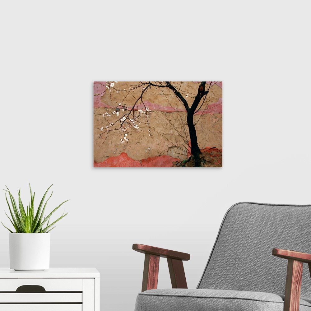A modern room featuring Oversized landscape photograph from the National Geographic Collection of a tree with small white...