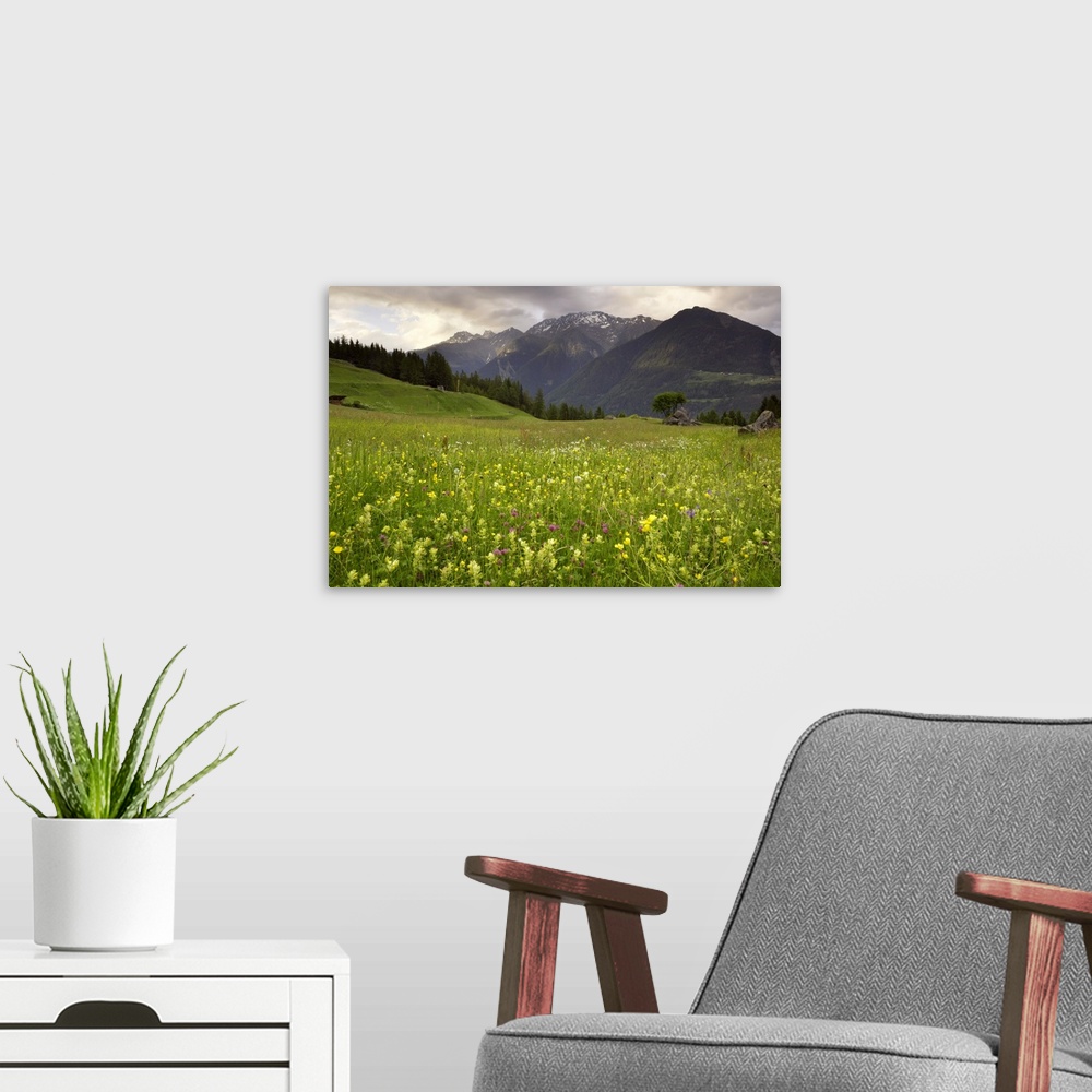 A modern room featuring Alpine meadow, near Kofels, Umhausen, Otztal valley, Tyrol, Austria, Europe