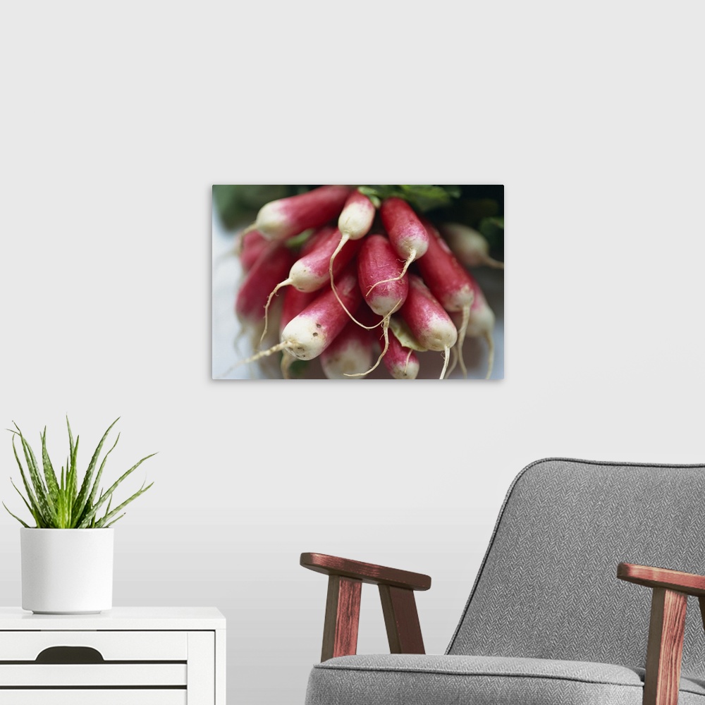 A modern room featuring Close-up of a bunch of radishes