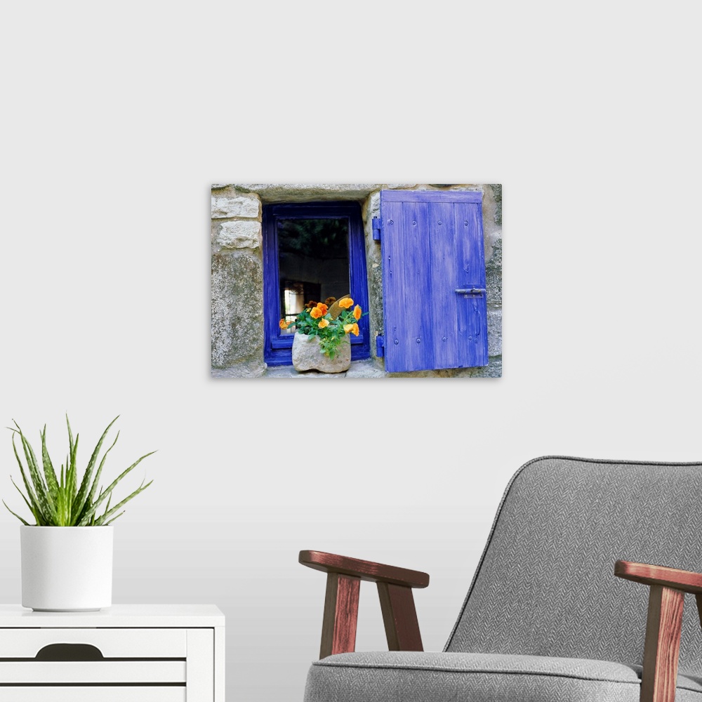A modern room featuring Close-up of blue shutter, window and yellow pansies, Provence, France
