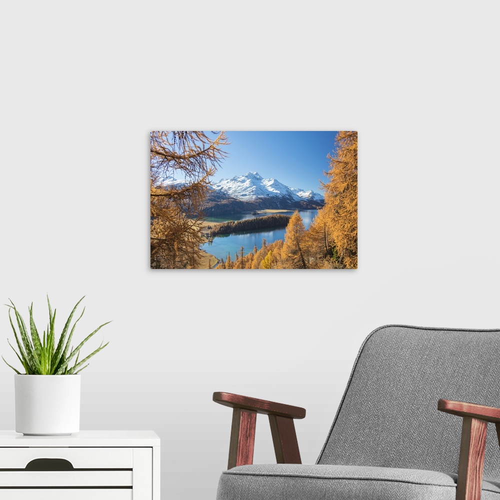 A modern room featuring Colorful woods around Lake Sils framed by snowy peaks in the background, Maloja, Canton of Graubu...
