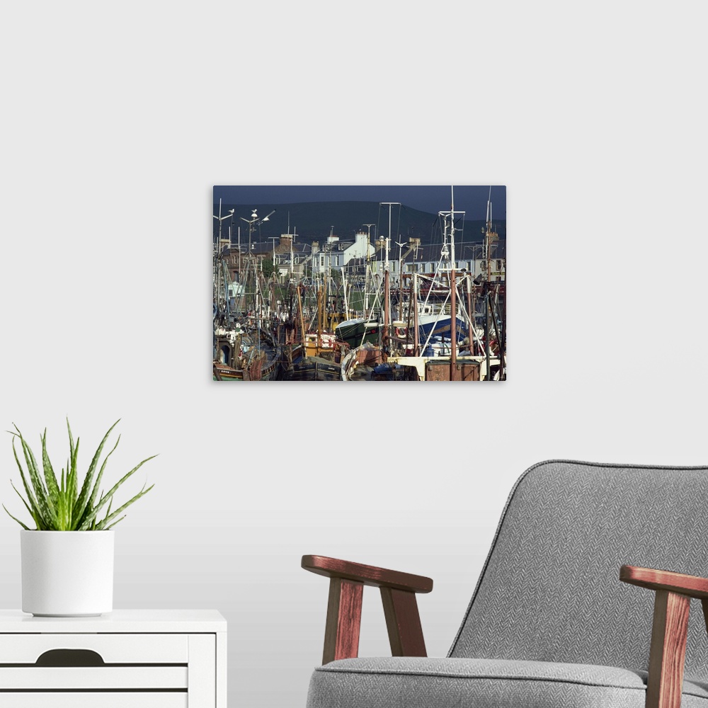 A modern room featuring Crowded harbour at Girvan, Strathclyde, Scotland, United Kingdom