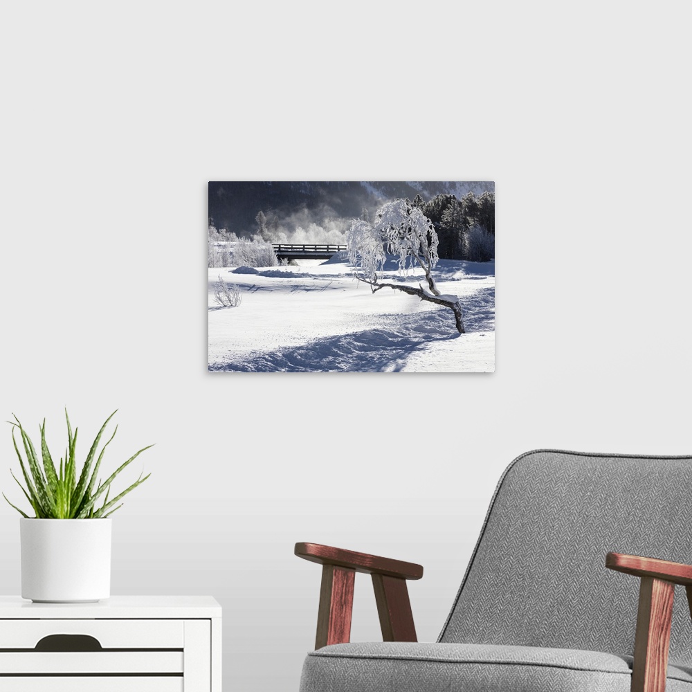 A modern room featuring Frost on tree branches frames the snowy landscape, Celerina, Maloja, Canton of Graubunden, Engadi...
