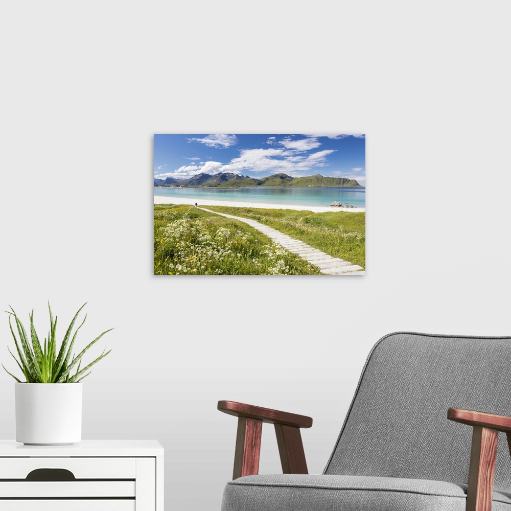 A modern room featuring Green meadows and flowers surrounded by turquoise sea and fine sand, Ramberg, Lofoten Islands, No...