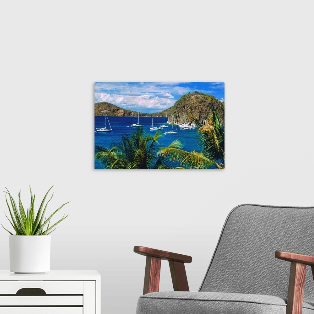 Guadeloupe, French Antilles, Caribbean, West Indies | Large Solid-Faced Canvas Wall Art Print | Great Big Canvas