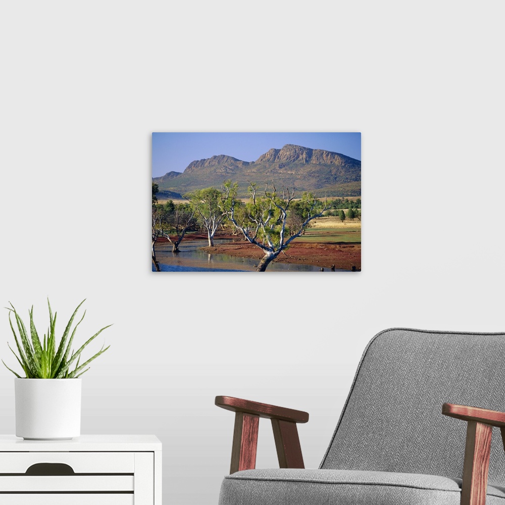 A modern room featuring Gum trees in a billabong at Rawnsley and the south west escarpment of Wilpena Pound, a huge natur...