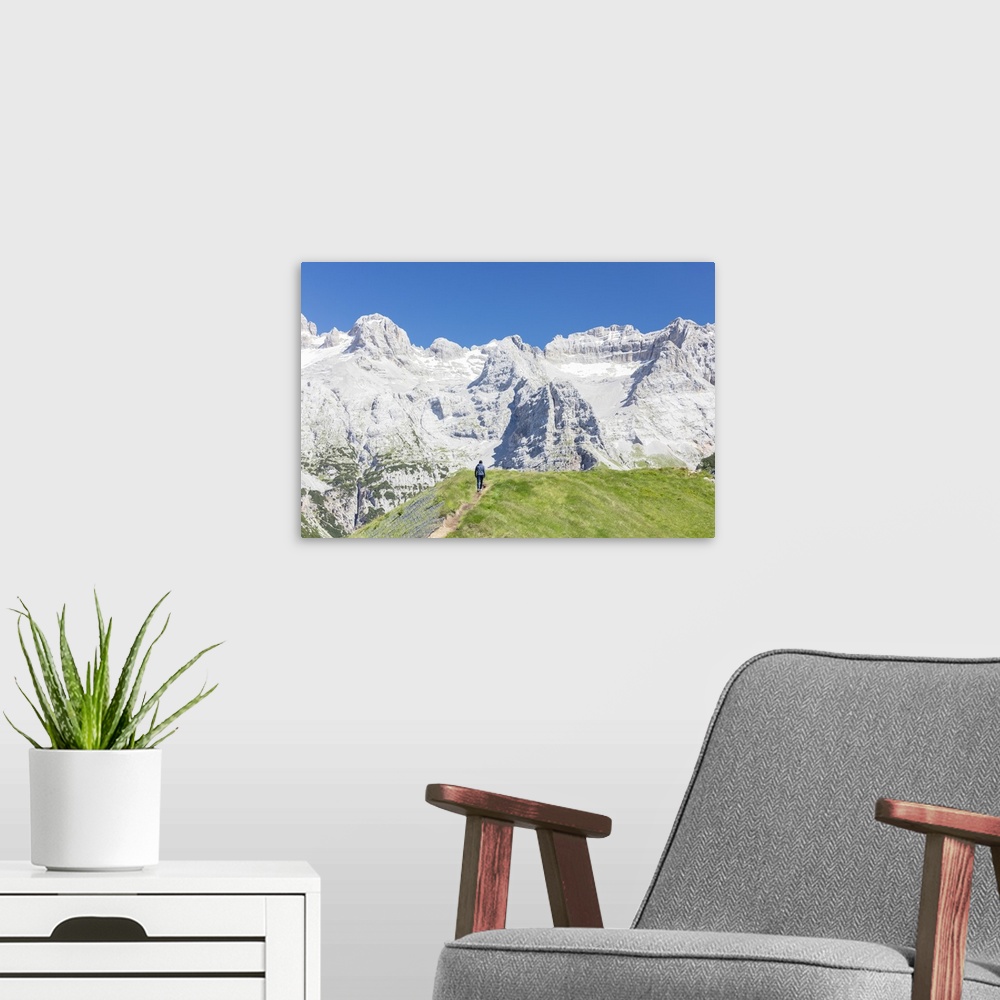 A modern room featuring Hiker proceeds on the path to the rocky peaks, Doss Del Sabion, Pinzolo, Brenta Dolomites, Trenti...