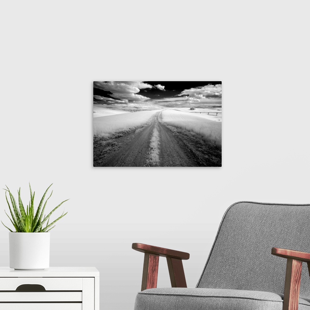 A modern room featuring Infrared image of dirt track through fields near San Quirico d'Orcia, Tuscany, Italy