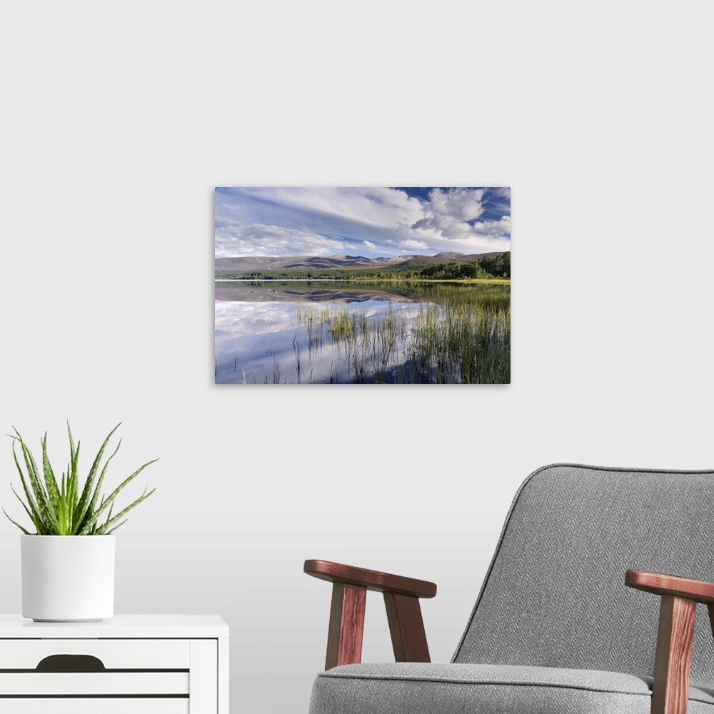 A modern room featuring Loch Morlich, Glenmore, Badenoch and Strathspey, Scotland
