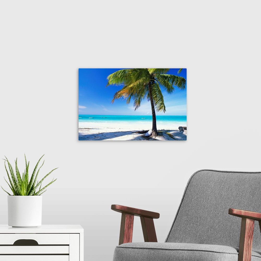 A modern room featuring Palm tree, white sandy beach and Indian Ocean, island of Zanzibar, Tanzania, Africa