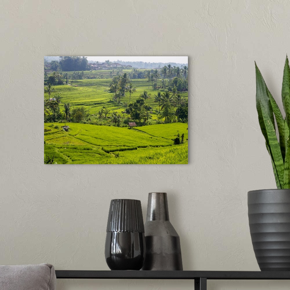A modern room featuring Rice terraces, Bali, Indonesia, Southeast Asia, Asia