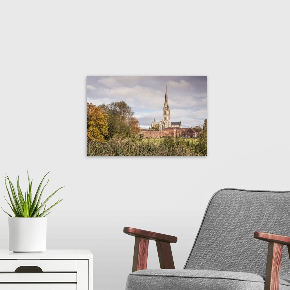 A modern room featuring Salisbury Cathedral from the West Harnham Water Meadows, Salisbury, Wiltshire, England, United Ki...