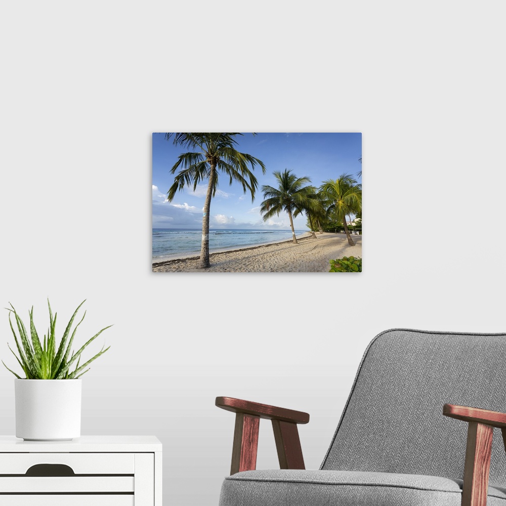A modern room featuring Savannah Beach, Savannah, Bridgetown, Christ Church, Barbados, West Indies, Caribbean, Central Am...