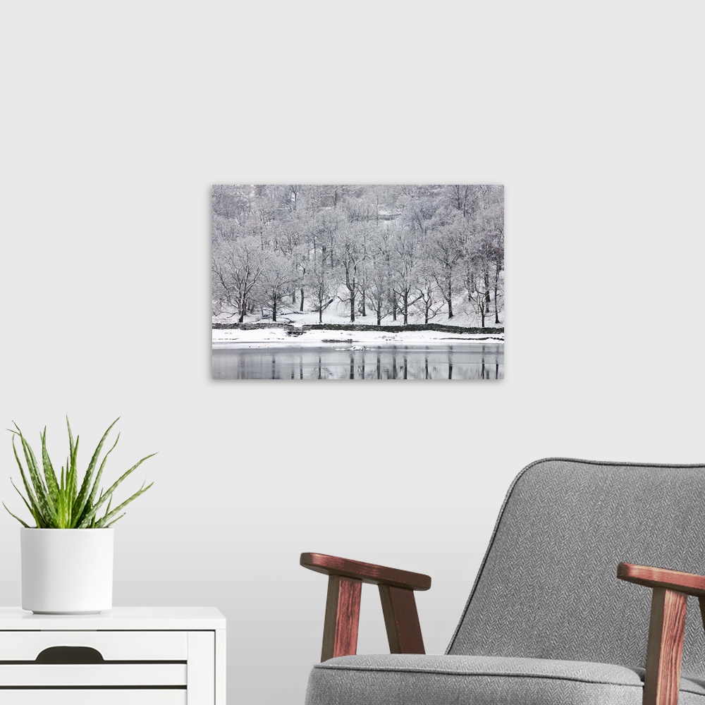 A modern room featuring Snow-covered trees on the shore of Rydal Water, near Ambleside, Lake District National Park, Cumb...