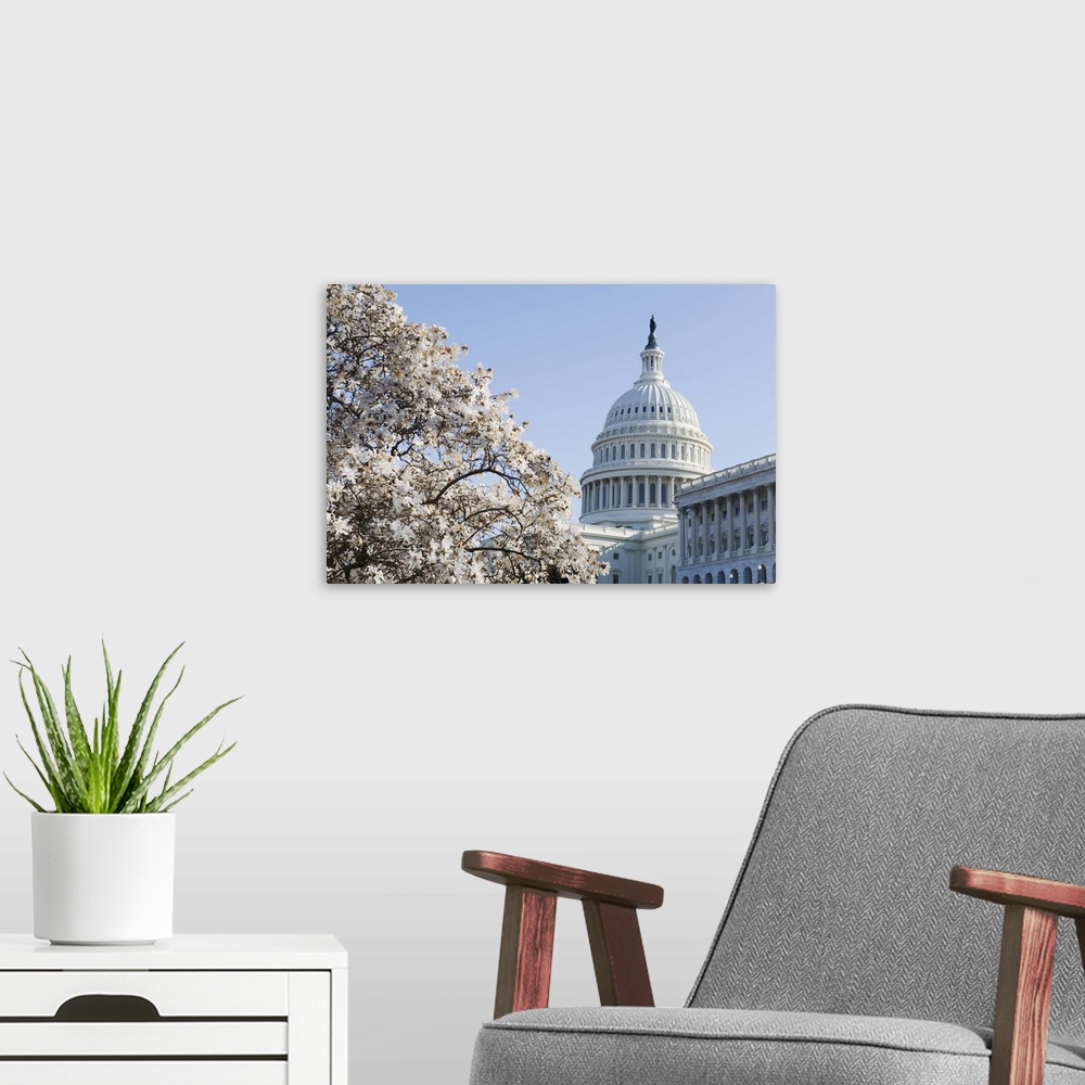 A modern room featuring Spring cherry blossom, The Capitol Building, Capitol Hill, Washington D.C