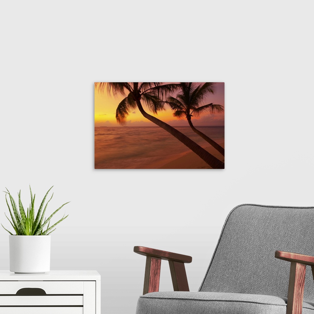 A modern room featuring Sunset on beach, Maldives, Indian Ocean, Asia