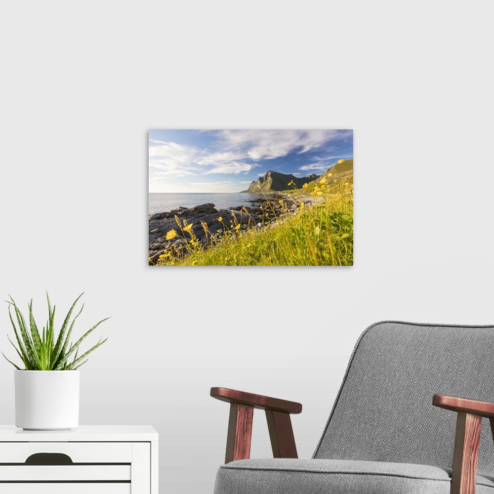 A modern room featuring The sun shines on green meadows and flowers surrounded by sea at night, Vikten, Nord Trondelag, L...