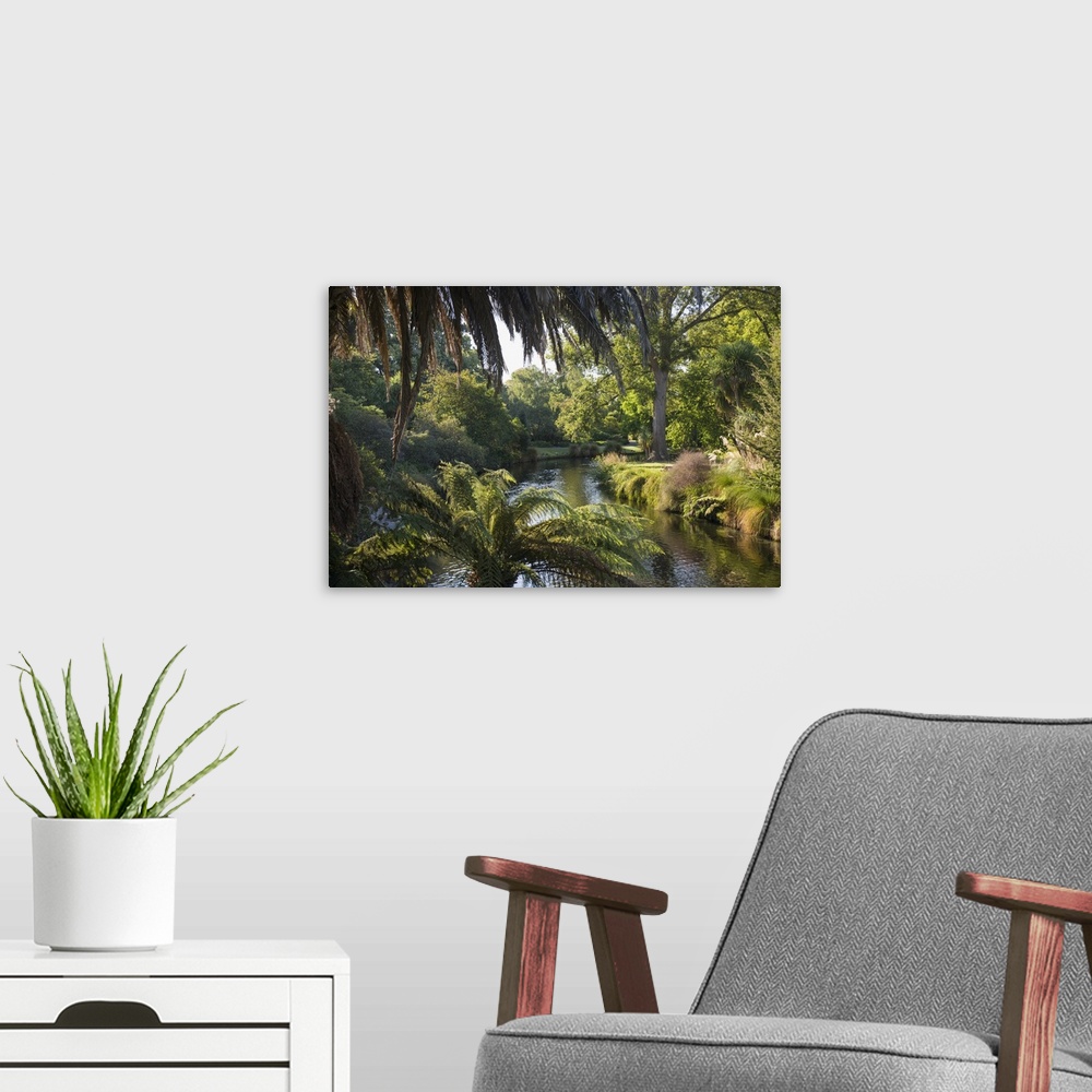 A modern room featuring View along the palm-fringed Avon River in Christchurch Botanic Gardens, Christchurch, Canterbury,...