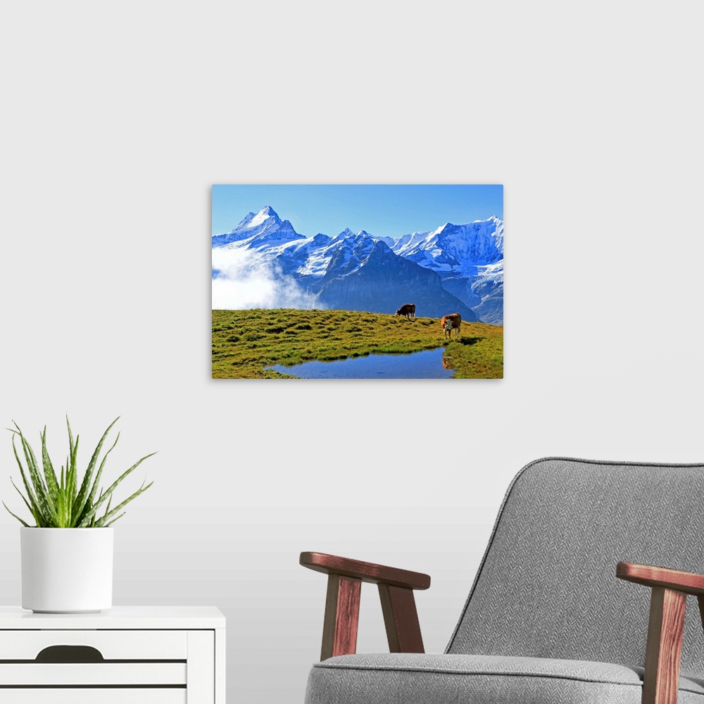 A modern room featuring View from First to Bernese Alps, Grindelwald, Bernese Oberland, Canton of Bern, Switzerland