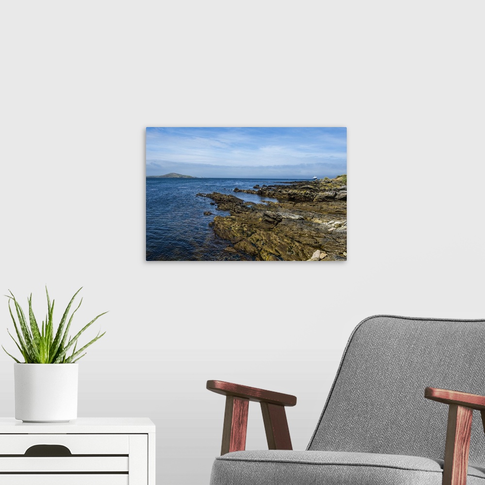 A modern room featuring View over Carcass Island, Falkland Islands, South America