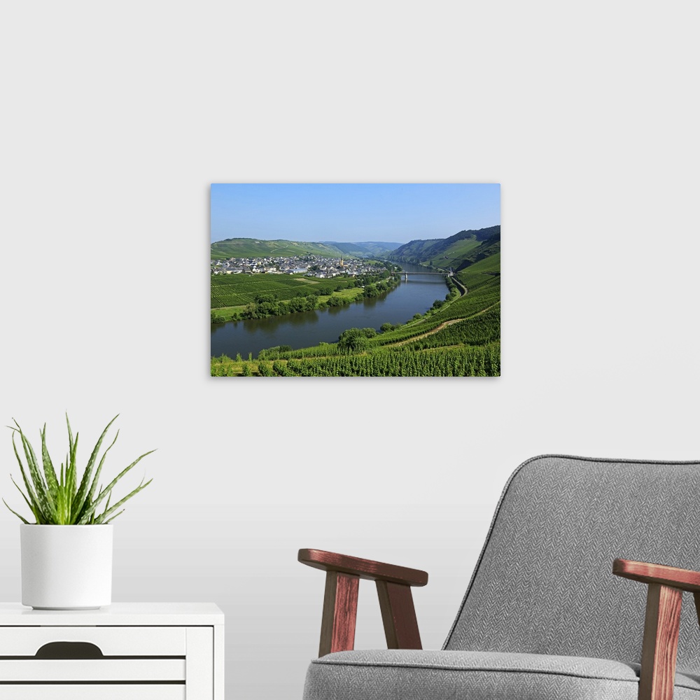 A modern room featuring Vineyards near Trittenheim, Moselle Valley, Rhineland-Palatinate, Germany
