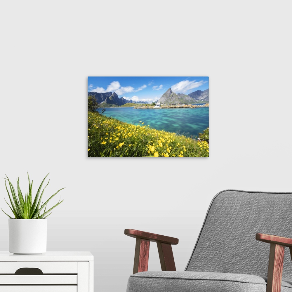 A modern room featuring Yellow flowers in bloom beside the turquoise sea and the fishing village of Sakrisoy, Reine, Mosk...