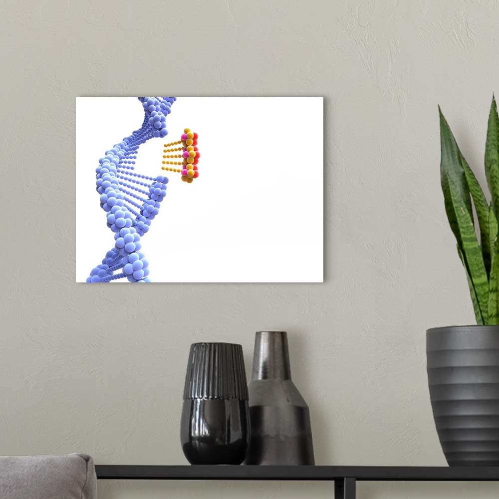 A modern room featuring DNA strand. Computer artwork showing the double helix structure of a DNA (deoxyribonucleic acid) ...
