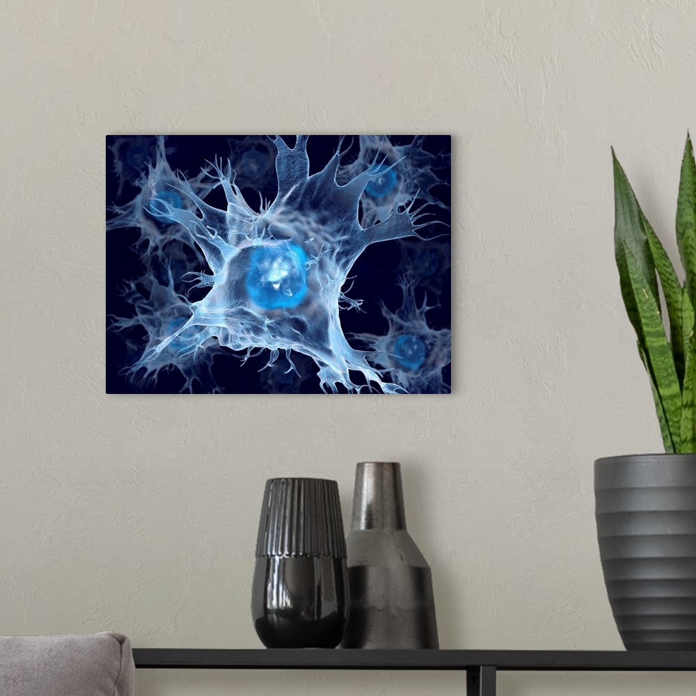 A modern room featuring Dendritic cells, computer artwork. Dendritic cells, a type of white blood cell and part of the bo...