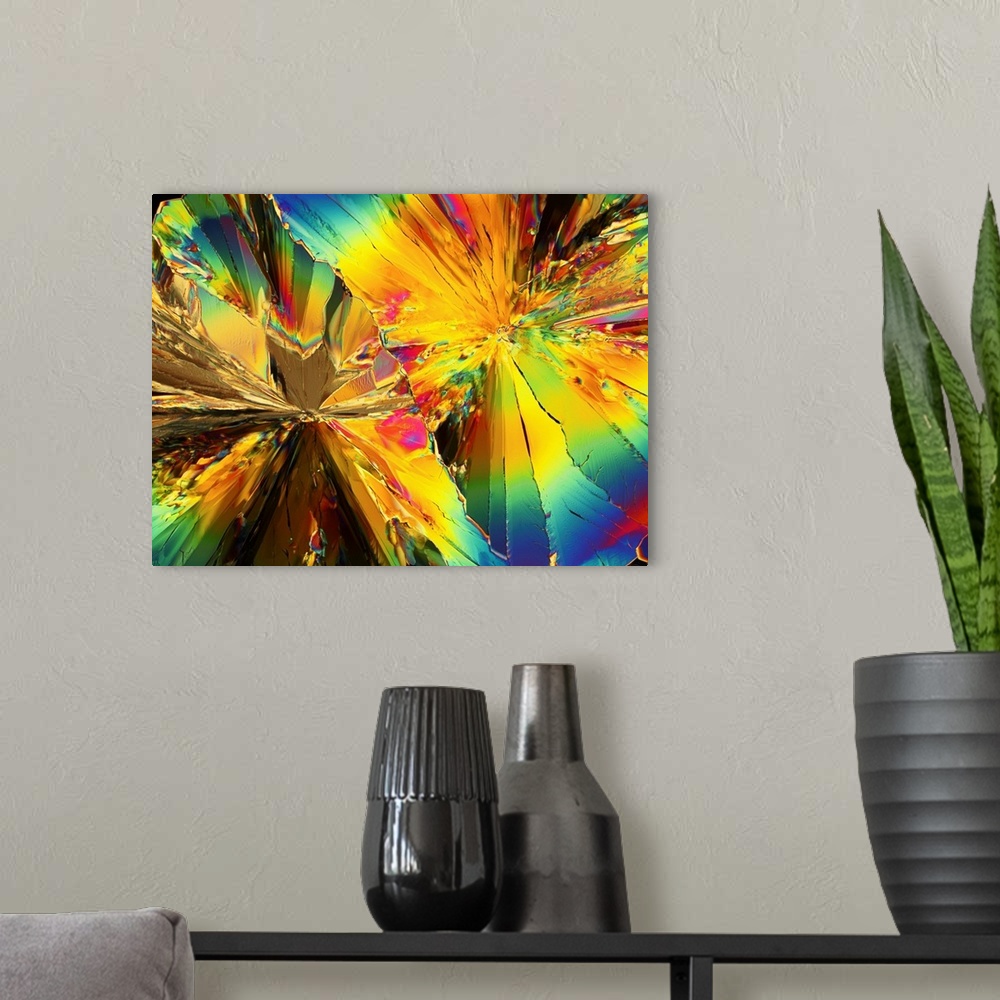 A modern room featuring Polarised light micrograph of crystals of citric acid, now known as tricarboxylic acid. Citric ac...