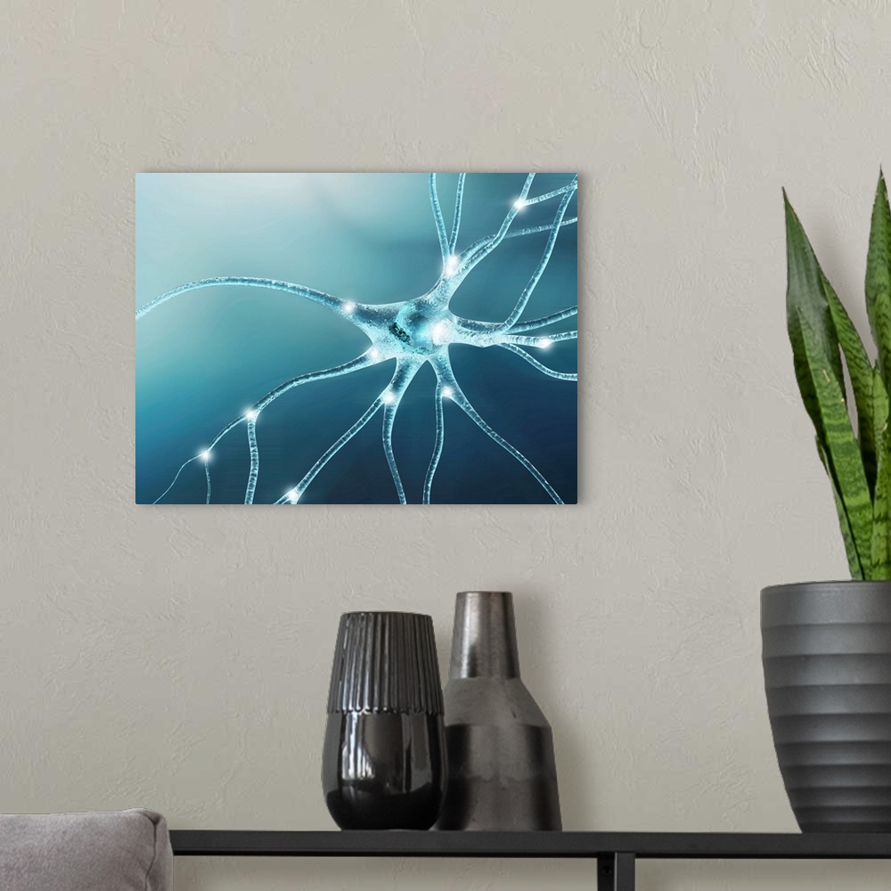 A modern room featuring Computer artwork of a nerve cell, also called a neuron. Neurons are responsible for passing infor...